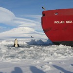 Orca near the South Pole saying Hello
