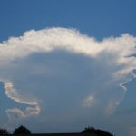 Single Air Mass Florida Thunderstorm backlit at Sunset